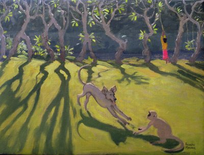 Cane e scimmia, Sri Lanka, 1998 da Andrew Macara